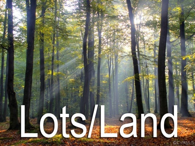 00 Old Poole Rd, Alberta VA, 23821 land for sale
