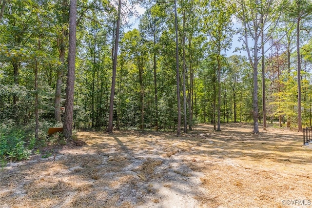 view of local wilderness