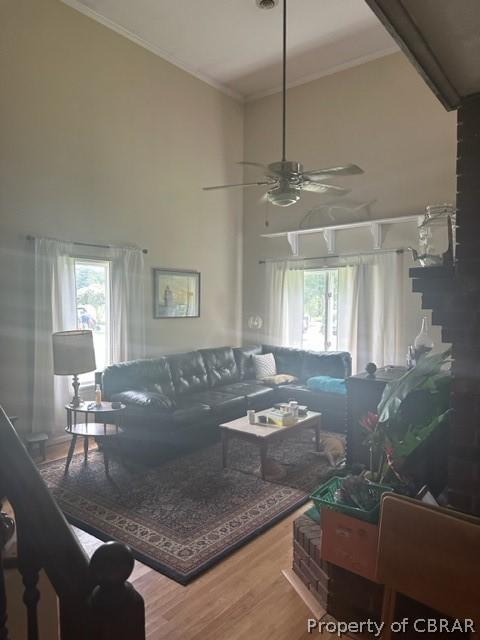 living room featuring a healthy amount of sunlight, ornamental molding, ceiling fan, and hardwood / wood-style floors