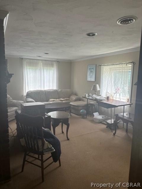 carpeted living room with a wealth of natural light and crown molding