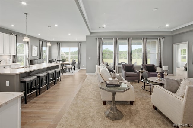 living room with light hardwood / wood-style floors, sink, and a wealth of natural light