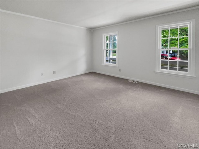 carpeted empty room featuring crown molding