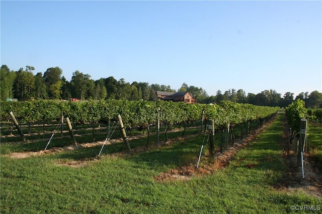 view of nature featuring a rural view