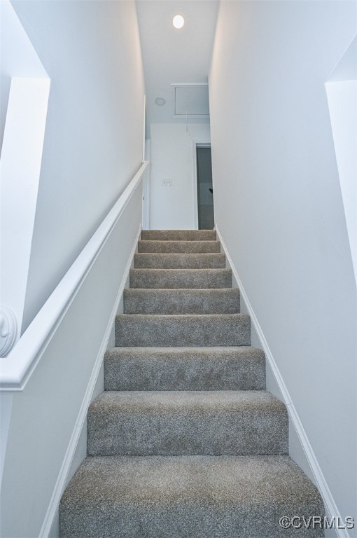 stairs featuring carpet flooring