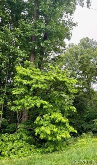 142B Tennis Ln, Ruther Glen, VA 22546