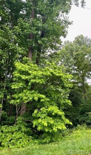 142B Tennis Ln, Ruther Glen, VA 22546