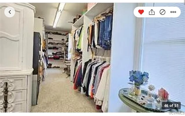 1501 Saxkey Rd, Drakes Branch, VA 23937 - walk in closet featuring light colored carpet