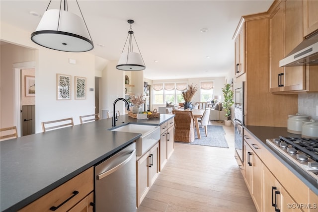 kitchen with backsplash, light hardwood / wood-style floors, hanging light fixtures, stainless steel appliances, and sink