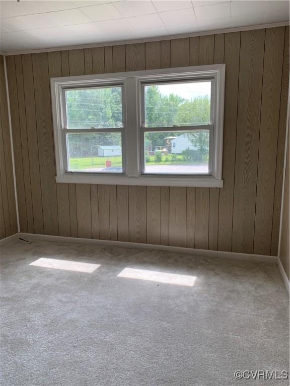 unfurnished room with carpet floors and wooden walls