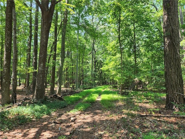 Listing photo 2 for 6.3AC Harris Creek Rd, Hampton VA 23601