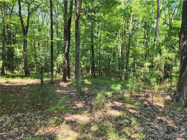 Listing photo 3 for 6.3AC Harris Creek Rd, Hampton VA 23601