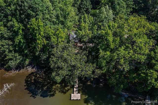 drone / aerial view with a view of trees and a water view