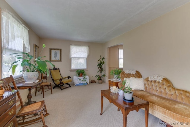 carpeted living room featuring a healthy amount of sunlight