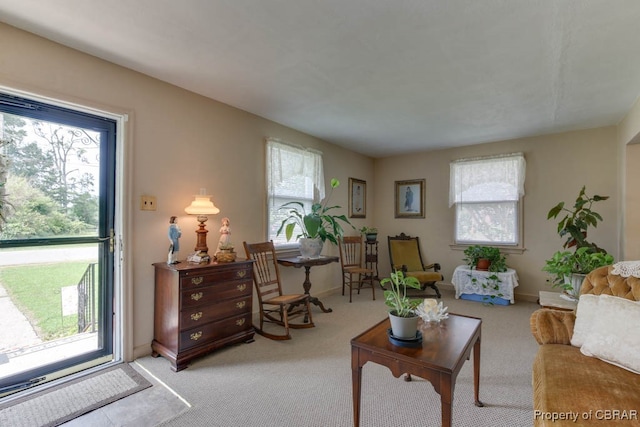 living room with carpet