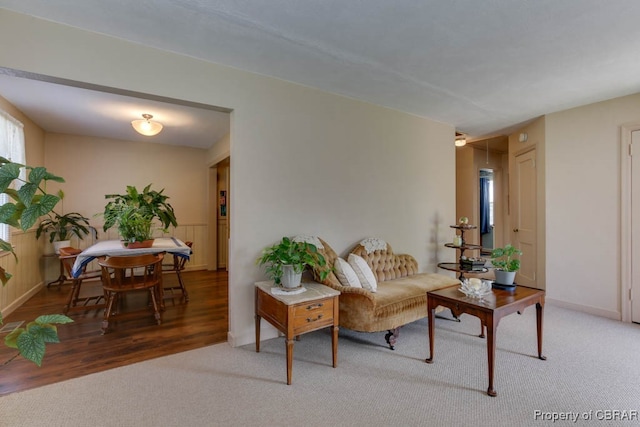 living room featuring hardwood / wood-style flooring