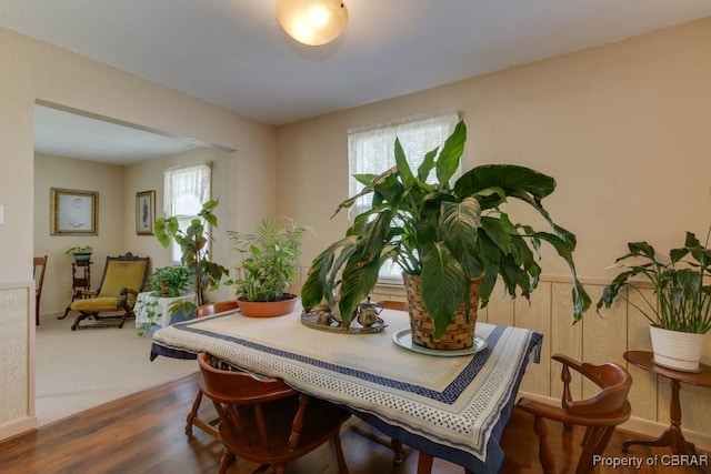 dining space with a wealth of natural light and hardwood / wood-style floors