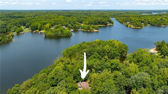 drone / aerial view featuring a view of trees and a water view