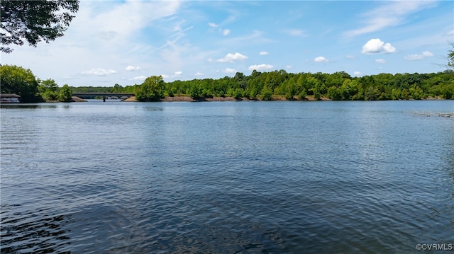 water view featuring a view of trees