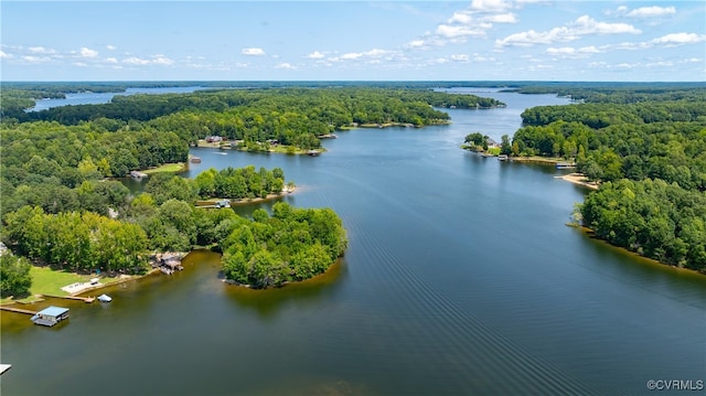 birds eye view of property with a forest view and a water view