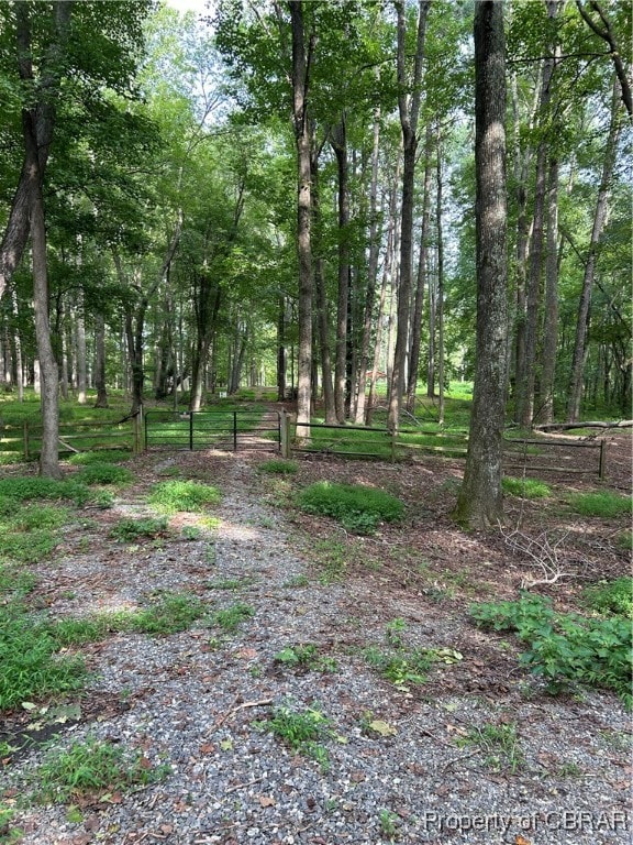 LOT037 Crosshills Rd, Heathsville VA, 22473 land for sale