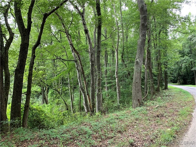 LOT38F Crosshills Rd, Heathsville VA, 22473 land for sale