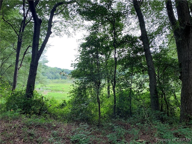 Listing photo 2 for LOT38F Crosshills Rd, Heathsville VA 22473