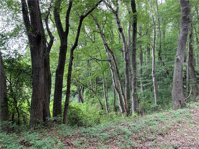 Listing photo 3 for LOT38F Crosshills Rd, Heathsville VA 22473