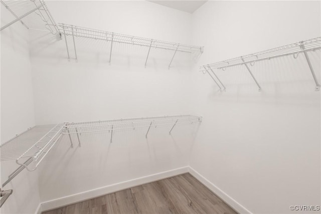 spacious closet featuring light wood finished floors