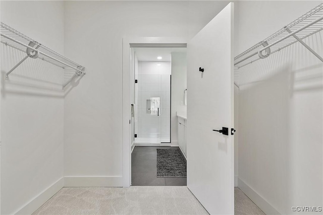 spacious closet featuring light carpet