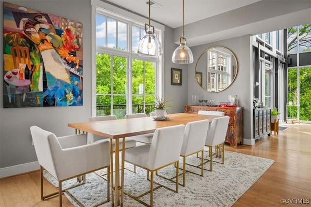 dining space featuring a healthy amount of sunlight and light hardwood / wood-style flooring