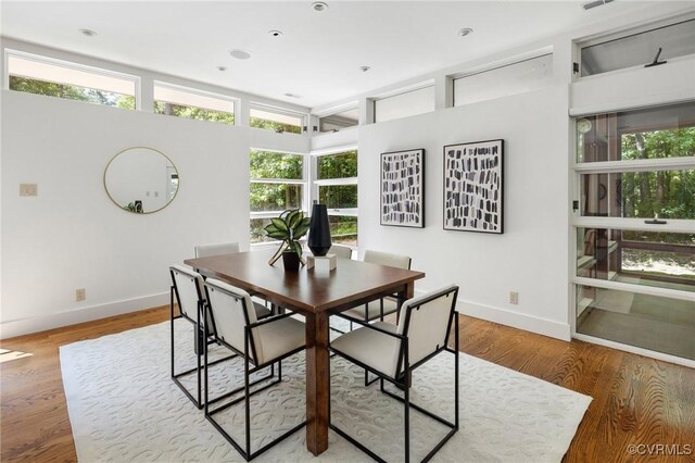 dining space featuring hardwood / wood-style flooring