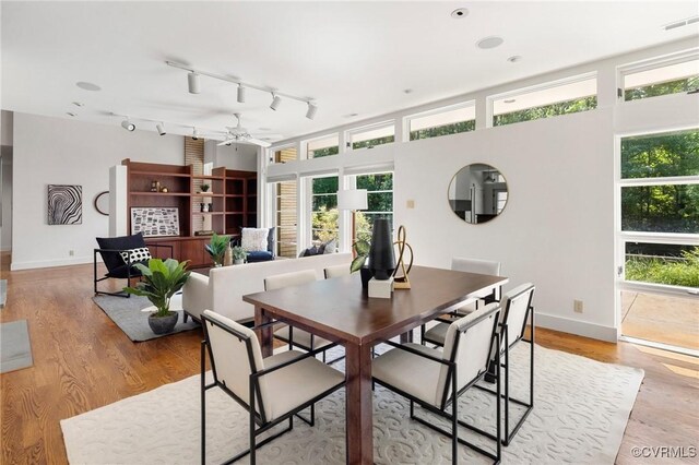 dining room featuring ceiling fan, light wood-type flooring, plenty of natural light, and track lighting