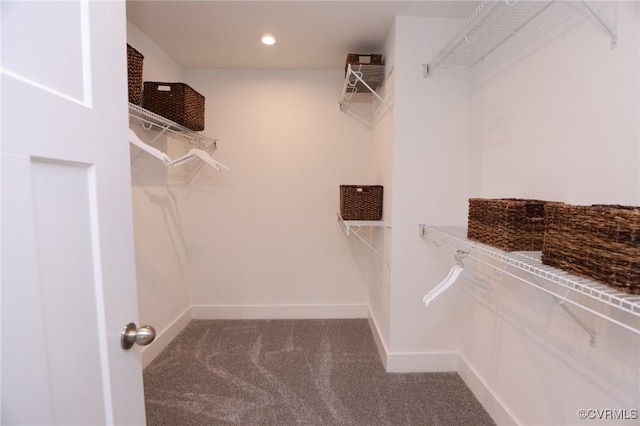 spacious closet featuring carpet