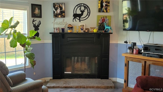 room details with a tile fireplace and hardwood / wood-style floors