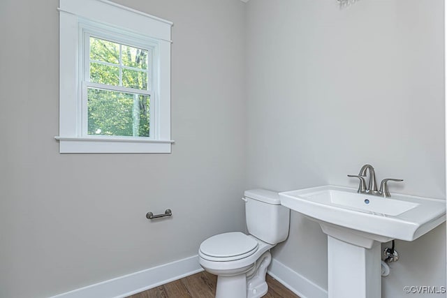 bathroom with wood-type flooring and toilet