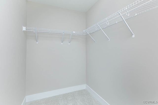 walk in closet featuring carpet flooring