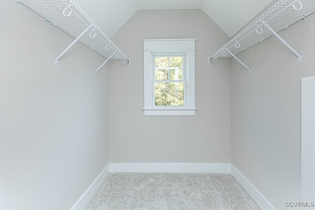 walk in closet featuring carpet and vaulted ceiling