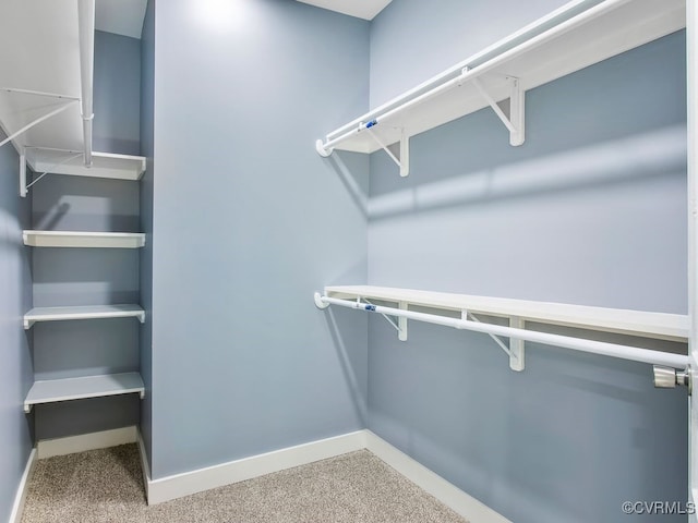 spacious closet with carpet floors