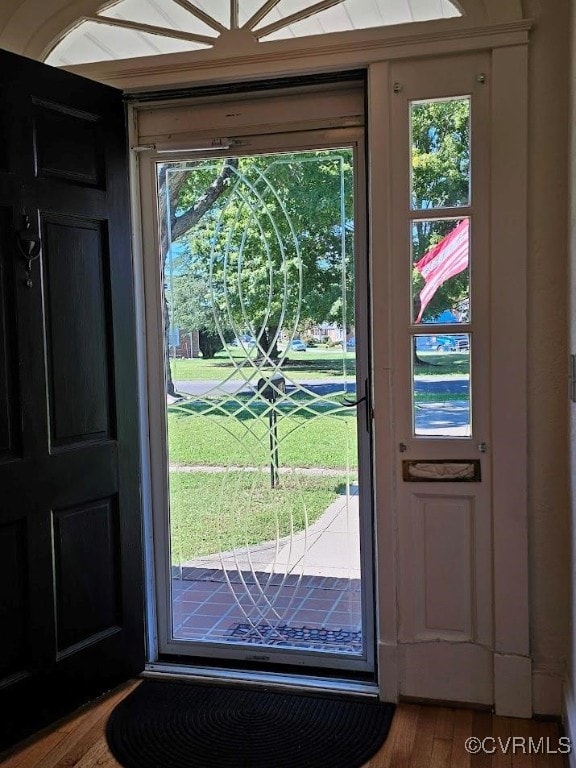 doorway featuring plenty of natural light and wood-type flooring