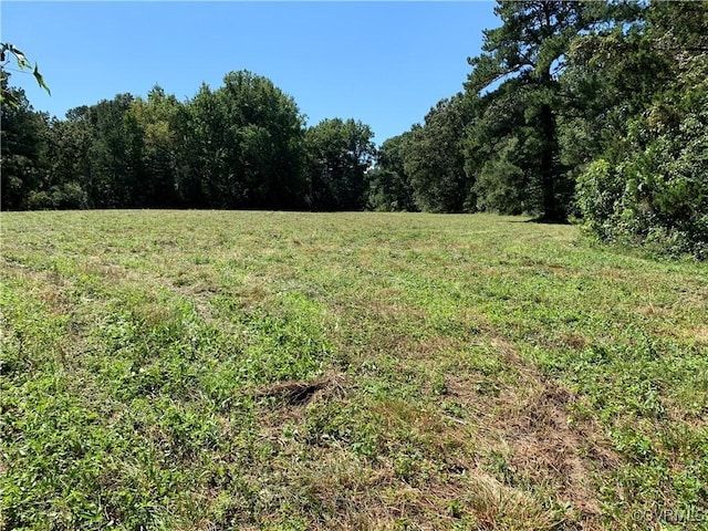 view of yard featuring a wooded view