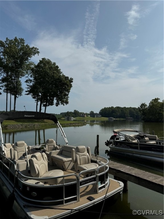 dock area with a water view