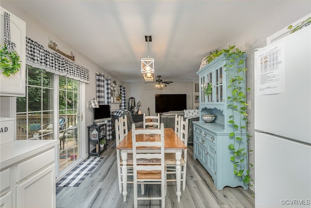 dining room with ceiling fan and light hardwood / wood-style floors