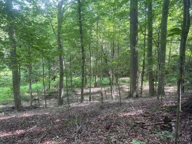 0 Ware Rd, New Kent VA, 23141 land for sale