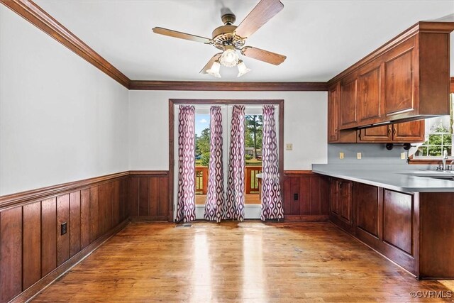 kitchen with wood walls, ceiling fan, ornamental molding, and light wood-type flooring