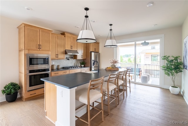 kitchen with hanging light fixtures, stainless steel appliances, light hardwood / wood-style floors, a kitchen island with sink, and tasteful backsplash