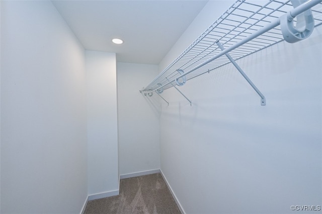 walk in closet featuring carpet flooring