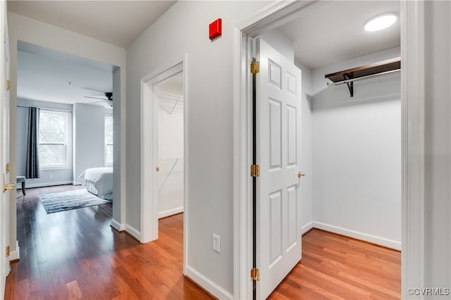 hallway featuring hardwood / wood-style flooring