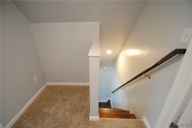 stairway featuring carpet flooring