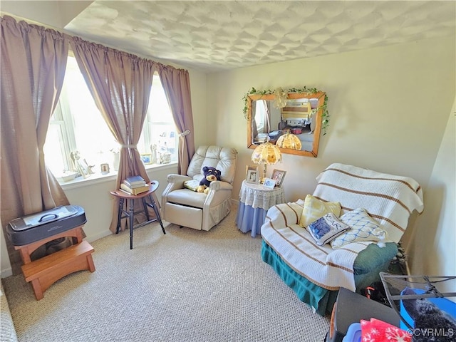 288 Cole Comfort Rd, Dillwyn, VA 23936 - living area featuring baseboards and carpet