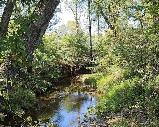 288 Cole Comfort Rd, Dillwyn, VA 23936 - view of water feature with a forest view